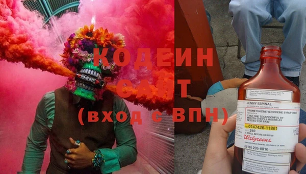 дмт Каменка
