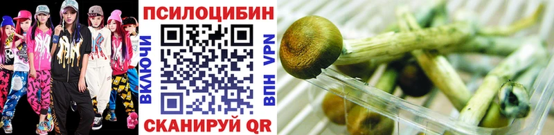 Галлюциногенные грибы GOLDEN TEACHER  Купить где  Димитровград 